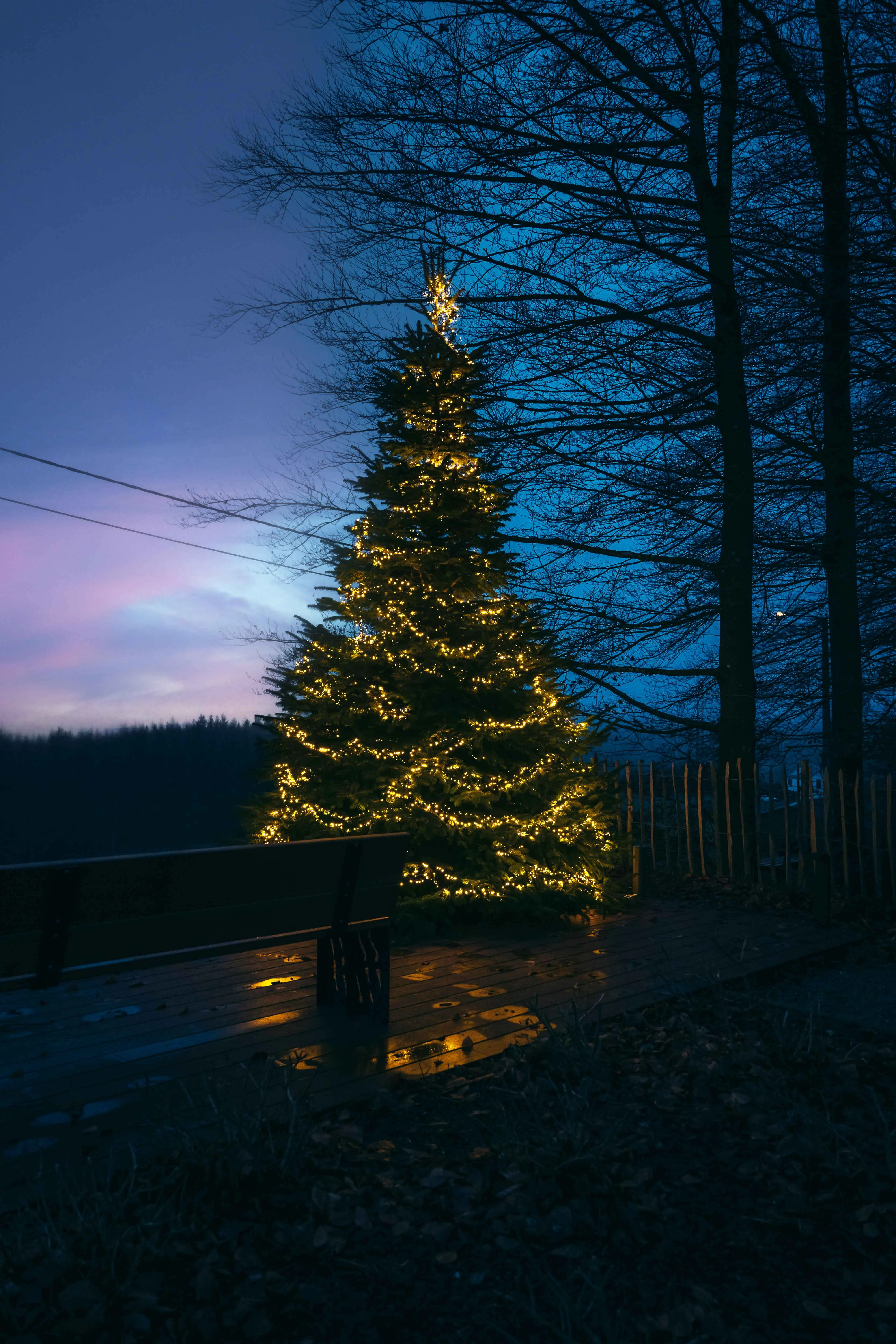 Cottage for 10 people in Tenneville Villa Wood